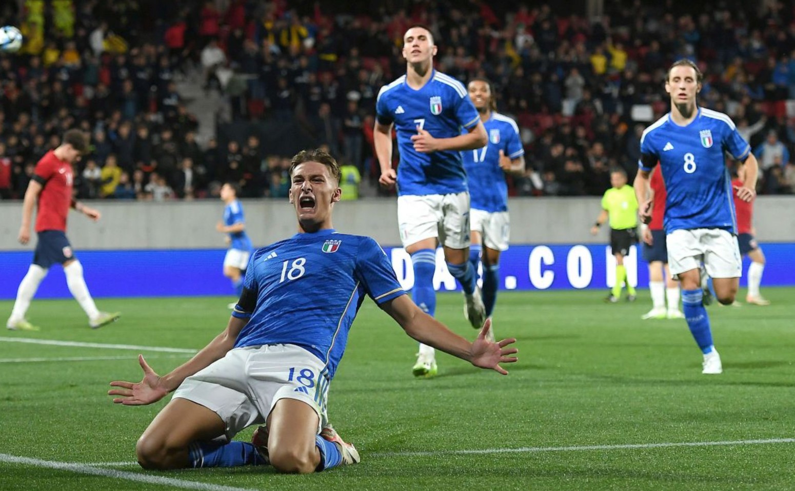 案例对照 案例对照